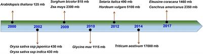 Finger Millet [Eleusine coracana (L.) Gaertn.] Improvement: Current Status and Future Interventions of Whole Genome Sequence